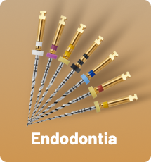 Endodontia